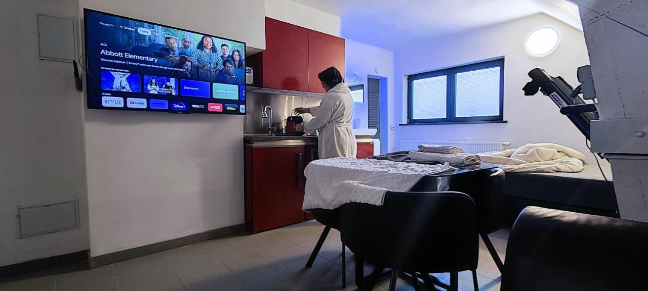 Logeerkamer Xxl 25 M2 Zemst Экстерьер фото