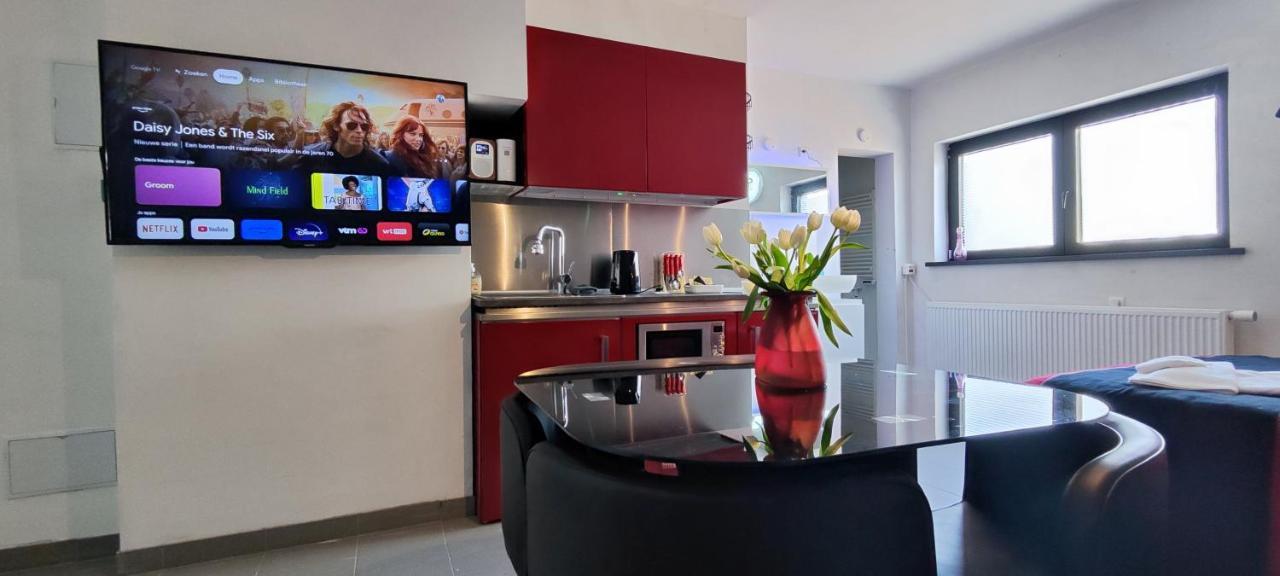 Logeerkamer Xxl 25 M2 Zemst Экстерьер фото